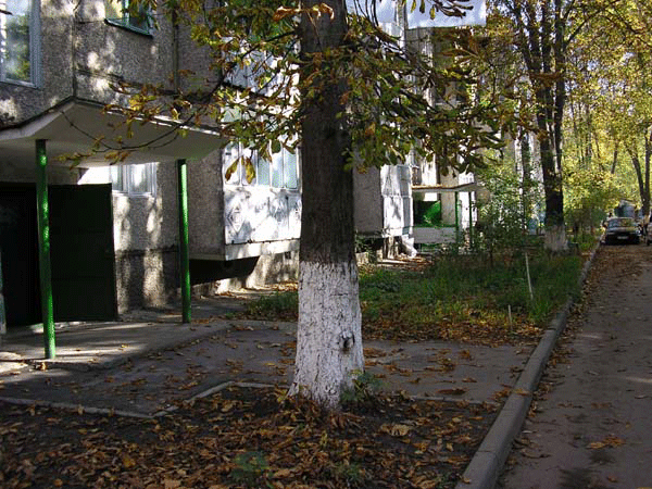 ��� � �������� ���������